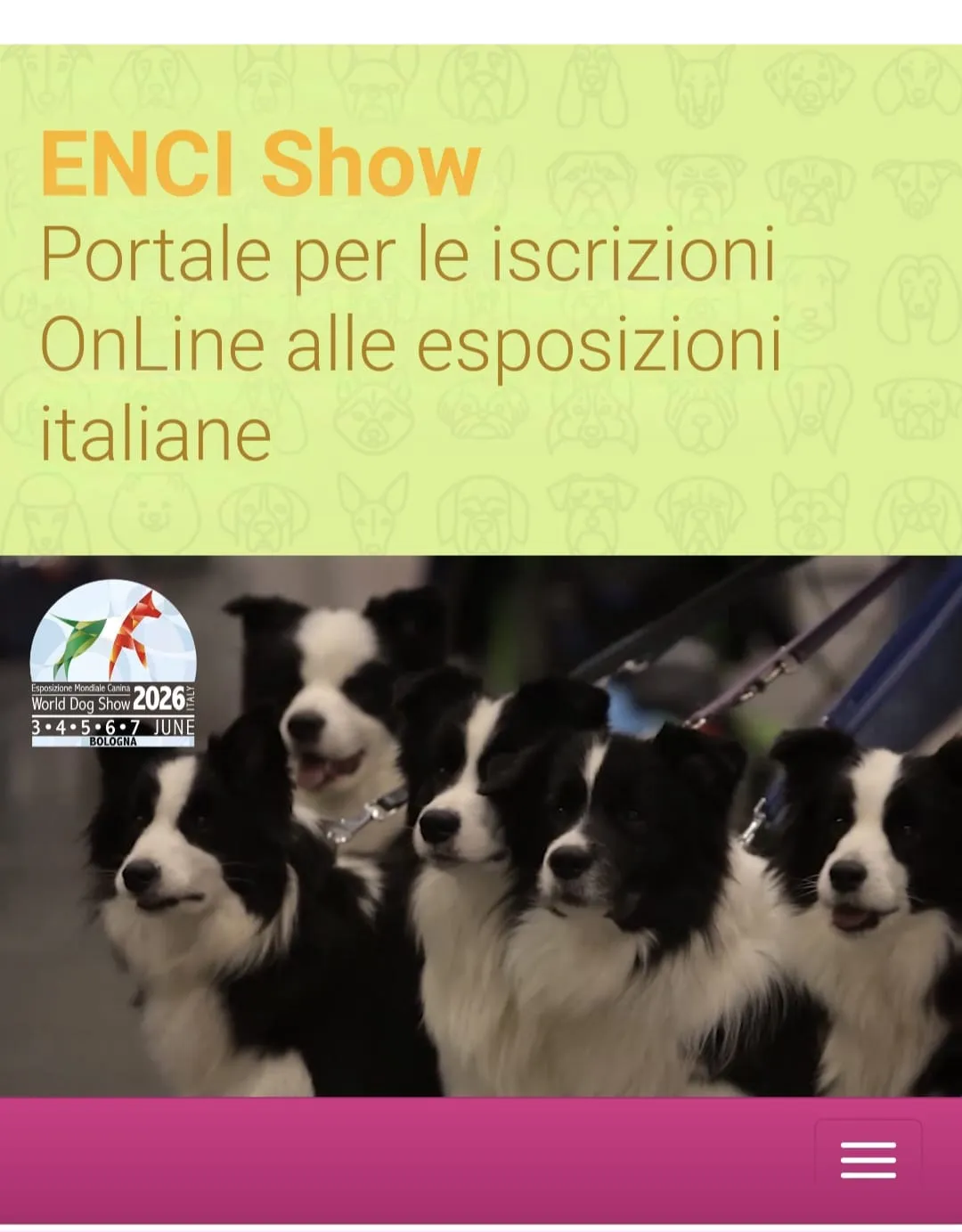 Enci Show