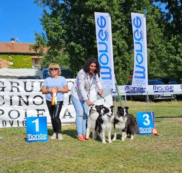 Esposizione Nazionale di Rovigo