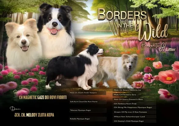 Sono Nati i Cuccioli di Argo e Kenya